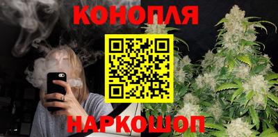 шишки Заволжье