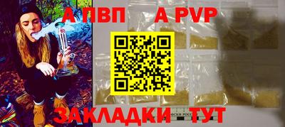 крисы Славгород