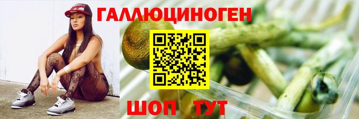 Галлюциногенные грибы Psilocybine cubensis  Вход с VPN  Мурино  Галлюциногенные грибы ЛСД 